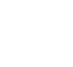 Government