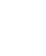 Security and Authenticity